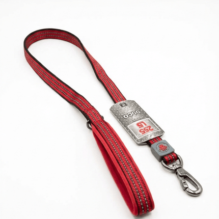 DOCO Dog Doco Medium Dog Leash 120 in 2.0 cm Red