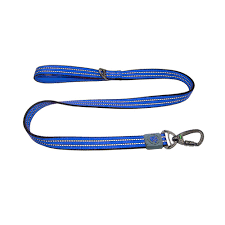 Doco Dog DOCO® Nylon Dog Medium blue Leash with Reflective 120 in 2 cm