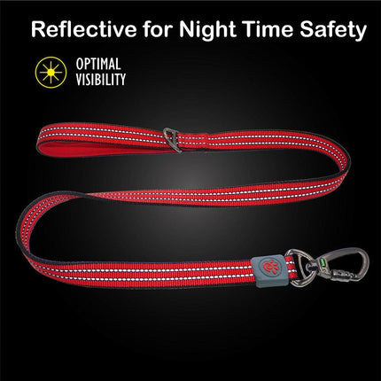 Doco Dog DOCO® Nylon Dog Medium Pink Leash with Reflective 120 in 2 cm