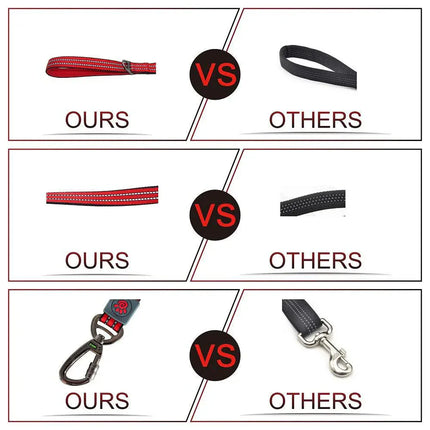 Doco Dog DOCO® Nylon Dog Medium Pink Leash with Reflective 120 in 2 cm