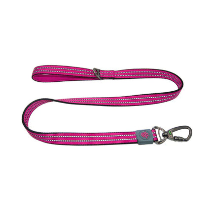 Doco Dog DOCO® Nylon Dog Medium Pink Leash with Reflective 120 in 2 cm
