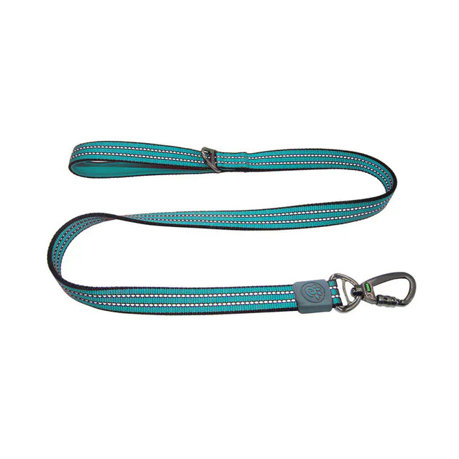 Doco Dog DOCO® Nylon Dog Medium turquoise Leash with Reflective 120 in 2 cm