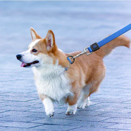 DOCO Dog Doco Nylon Leash Large 180 in 2.5 cm Grey