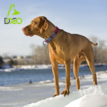 Doco Dog DOCO® O-Ring Nylon Medium Blue Dog Collar 44 to 55 in 2cm