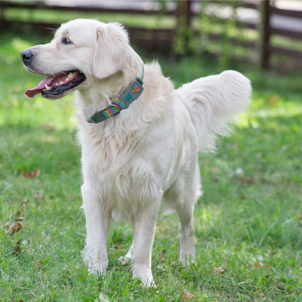 DOCO dog DOCO® Patterned Jacquard Dog Collar Heavy-Duty Designer Security Collar Size M 2.5× 34 – 51 cm