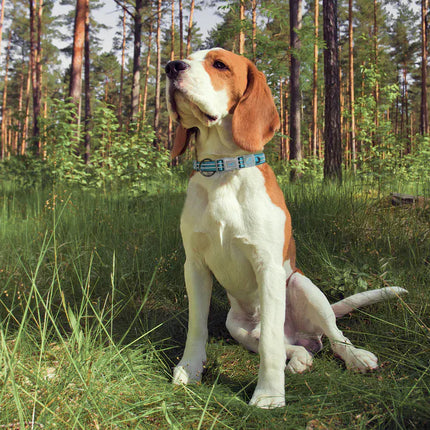 DOCO Dog DOCO® Reflective D-Ring Security Dog Collar High Visibility Safety Catch Nylon Collar Size L 2.5 × 53–64 cm
