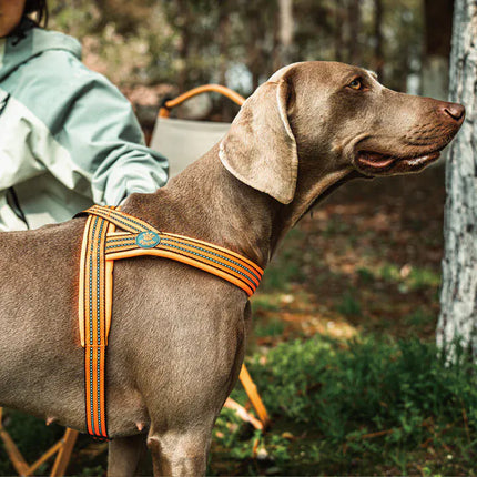 DOCO dog DOCO® Reflective Padded Dog Harness with Handle Size M/L 2.5 ×60×64-80 cm Grey