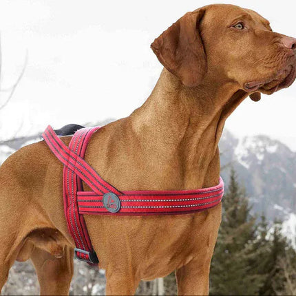 DOCO dog DOCO® Reflective Padded Dog Harness with Handle Size M/L 2.5 ×60×64-80 cm Grey