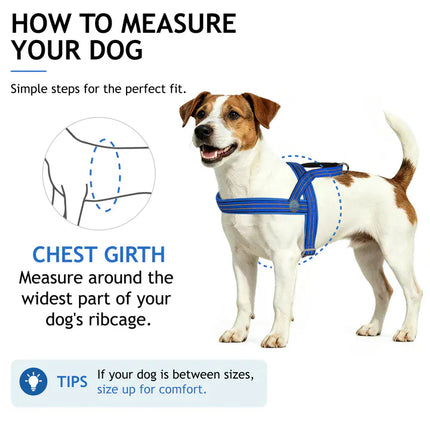 DOCO dog DOCO® Reflective Padded Dog Harness with Handle Size M/L 2.5 ×60×64-80 cm Grey