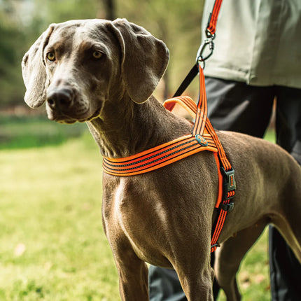 DOCO dog DOCO® Reflective Padded Dog Harness with Handle Size M/L 2.5 ×60×64-80 cm Grey
