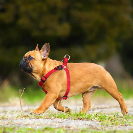 DOCO Dog DOCO® Signature Step-In Dog Harness Size S 1.5 x 45 - 63
