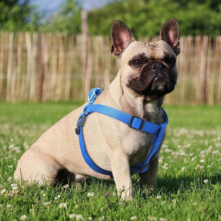 DOCO Dog DOCO® Signature Step-In Dog Harness Size S 1.5 x 45 - 63