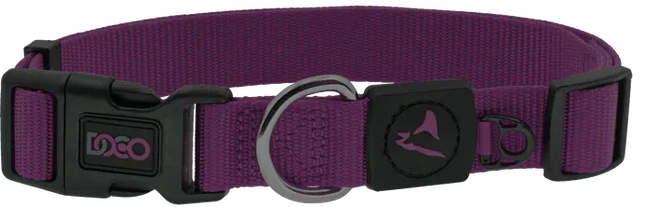DOCO Dog Doco Small Purple Nylon Dog Collar 25 to 40 in 1.5cm