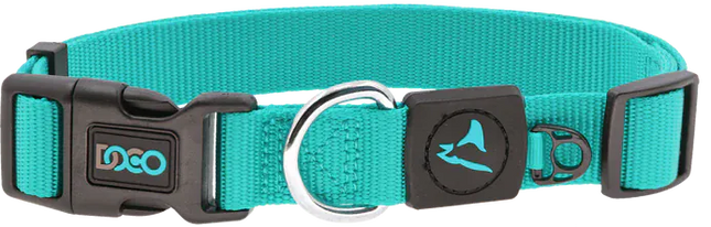 DOCO Dog Doco Small turquoise Nylon Dog Collar 25 to 40 in 1.5cm