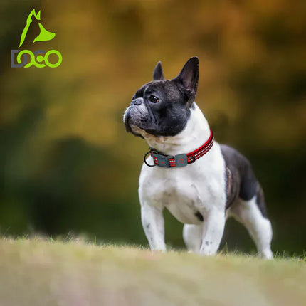 DOCO Dog DOCO® VARIO O-Ring Nylon Dog Collar with Reflective Stitching Size M 1.5 × 39 - 44 Cm