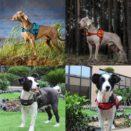 DOCO Dog DOCO Vertex Power XL Orange Reflective Dog Harness