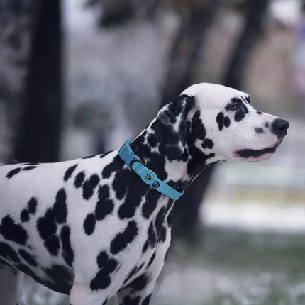 DOCO dog DOCO® Waterproof Odor-Free Dog Collar Jelly Bean Easy-Clean Adventure Collar Size M 2.0× 34– 52cm Black