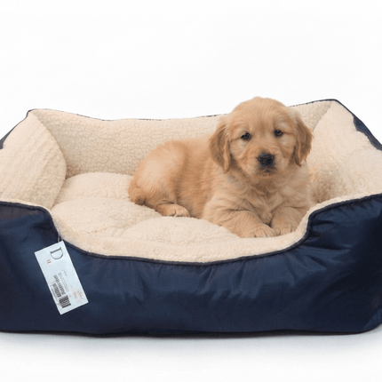 dog moda Dog and cat Dog moda Waterproof Bed Blue 70 in 55cm