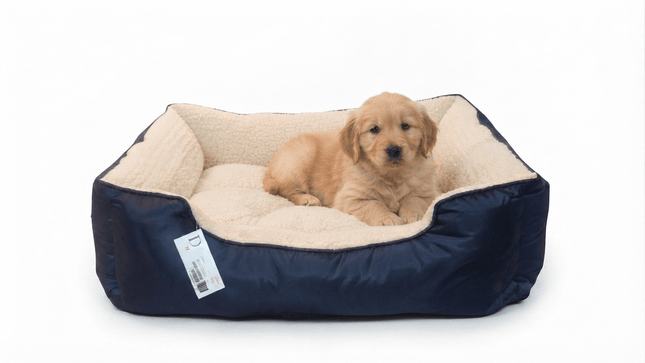 dog moda Dog and cat Dog moda Waterproof Bed Blue 70 in 55cm