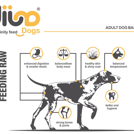 Dija Adult Dog Dry Food 20Kg