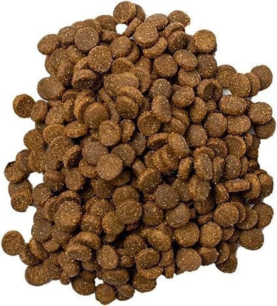 Doodzy Cat DoOdzy Cat Classico Chicken Taste Dry Food 1kg