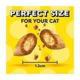 Dreamies Cat Dreamies Cat Treat Biscuits with Salmon Flavour 60g