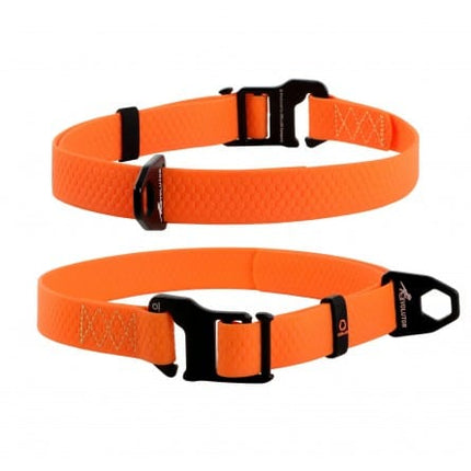 EVOLUTOR Dog EVOLUTOR Adjustable Waterproof Dog Collar Orange 25 mm 25-70cm