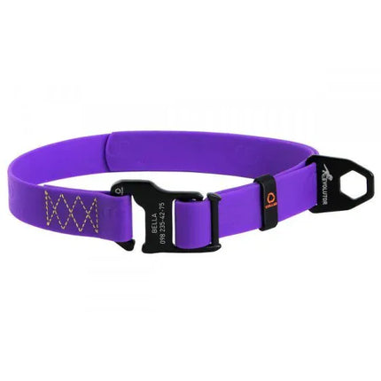 EVOLUTOR Dog EVOLUTOR Adjustable Waterproof Dog Collar Purple 25mm 25-70cm