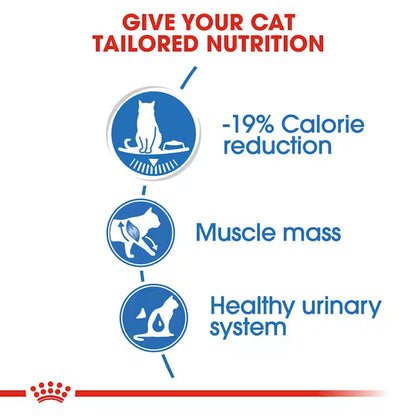 Royal Canin Light Weight Wet Food Slices in Gravy for Adult Cats 85 gr