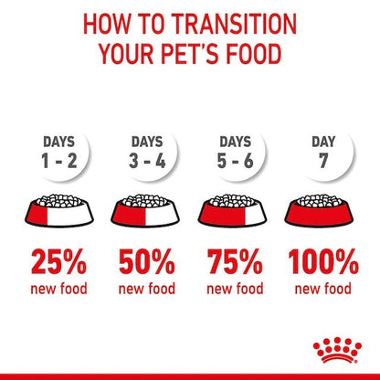 Royal Canin Hairball Care Dry Food for Adult Cats 400 gr