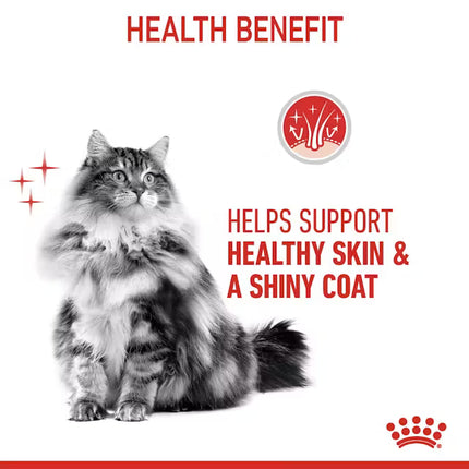 Royal Canin Hair and Skin Care Wet Food Slices in Jelly for Adult Cats 85 gr