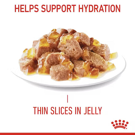 Royal Canin Hair and Skin Care Wet Food Slices in Jelly for Adult Cats 85 gr