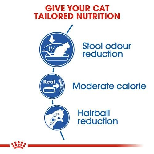 Royal Canin Home Life Dry Food for Indoor Adult Cats 1-10 Years-10 kg