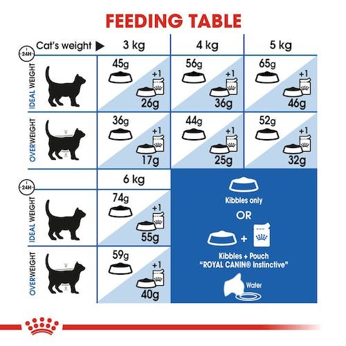 Royal Canin Home Life Dry Food for Indoor Adult Cats 1-10 Years-4 kg