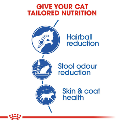 طعام رويال كانين هوم لايف الجاف للقطط البالغة ذات الشعر الطويل داخل المنزل 400 جرام