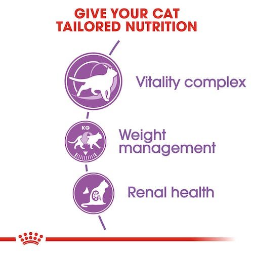 Royal Canin Regular Dry Food for Sterilized Cats 1.5 kg