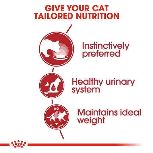 Royal Canin Instinctive Wet Food Loaf for Adult Cats  85 gr