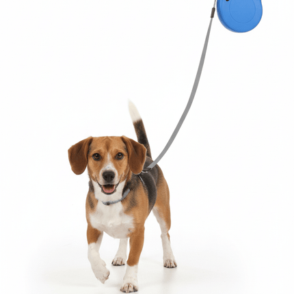 Flexi Dog Flexi Classic S 15 K  Blue 5 M Tape