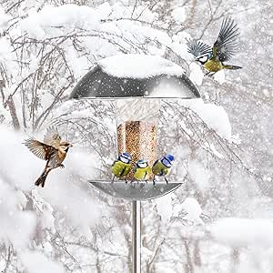 gardenline Bird Stainless Steel Standing Bird Feeder With Transparent Seed Container And Dome Roof Height 170 cm