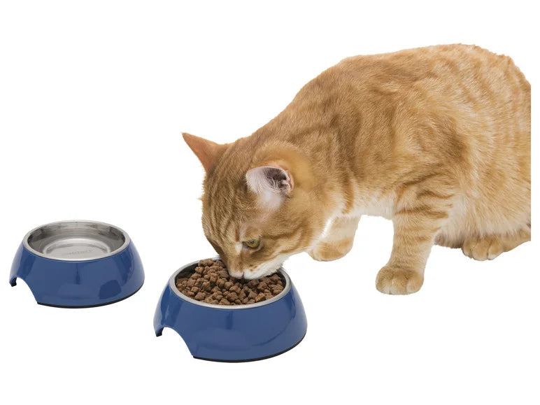Zoofari food or water bowl blue 2 approx 160 ml blue