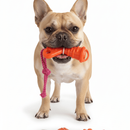 Groovy Dog Groovy Elite Dog Bone Heart