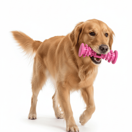 Groovy Dog Groovy Elite Dog Toy Dental Bone Large