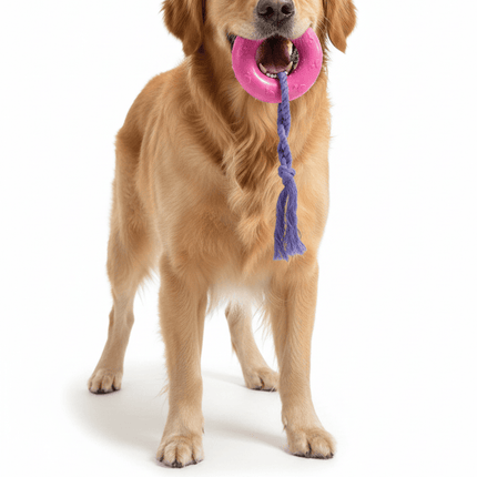 Groovy Dog Groovy Elite Dog Toy Ring