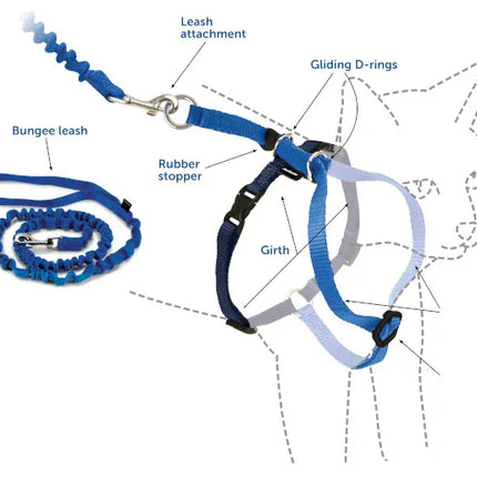 hello mickey Dog and cat Hello mickey Leash and Harness For Small pet
