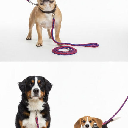 Himalaya Dog Dog Leash Rope Heavy