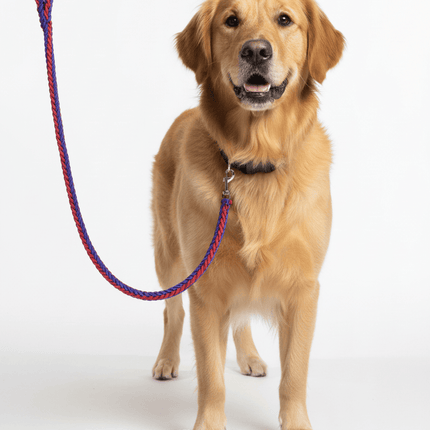 Himalaya Dog Dog Leash Rope Heavy