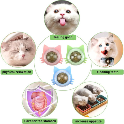 HMA Cat Catnip toy Afoghat For Cats 3 PCS