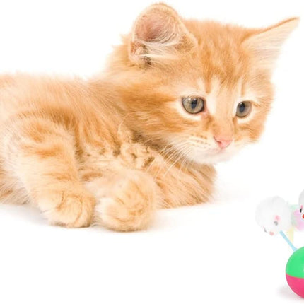 HMA cat Feather Rotating Ball for Training Playing for cat