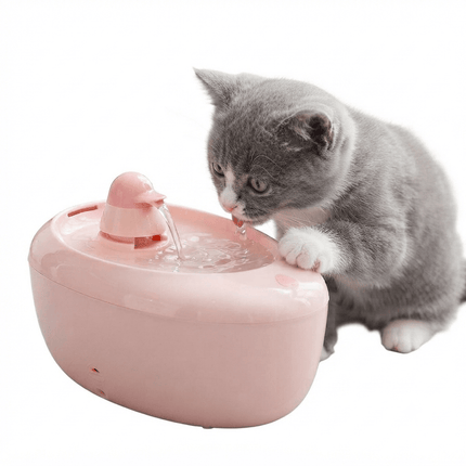 HMA Dog and cat Automatic Pet Water Fountain Cat Drinking Water Dispenser And Feeder 2 L  Pink