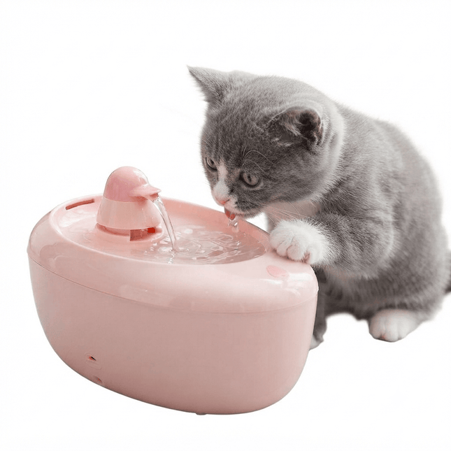 HMA Dog and cat Automatic Pet Water Fountain Cat Drinking Water Dispenser And Feeder 2 L  Pink